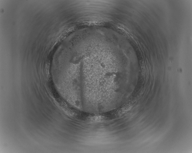 X0000074040695200609111739