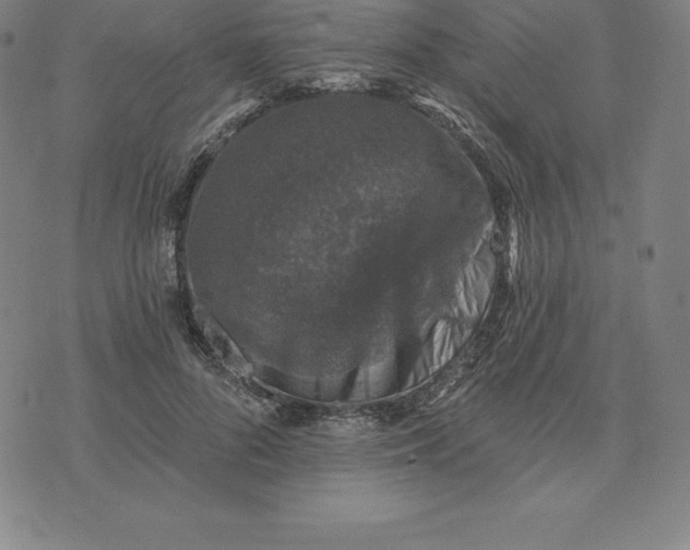 X0000074040696200609111739