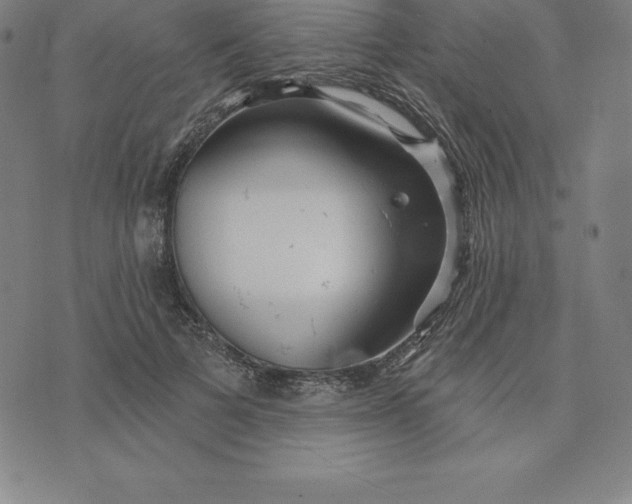 X0000074040697200609111739