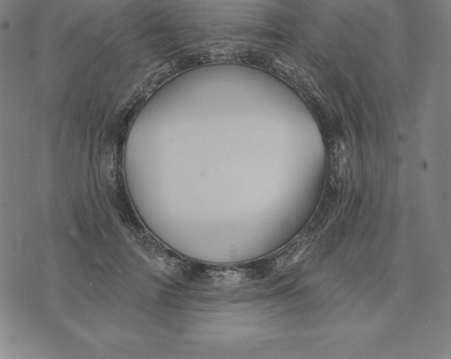 X0000074040698200609111739