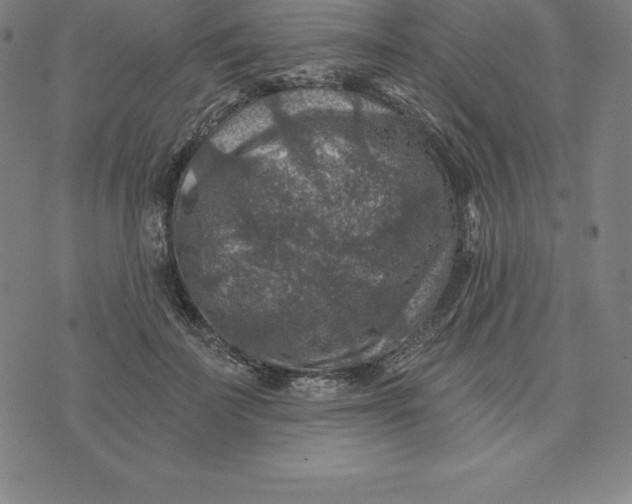 X0000074040699200609111739