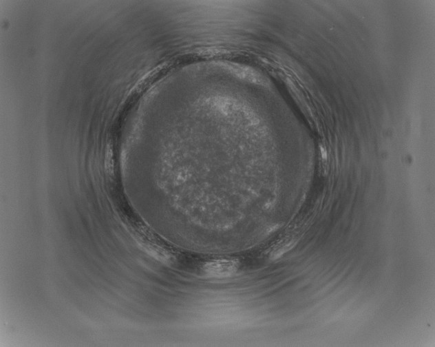 X0000074040700200609111739