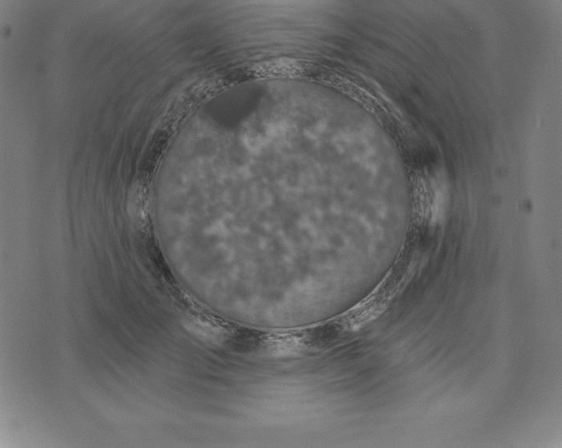 X0000074040701200609111739