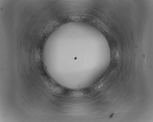 X0000074040702200609111739