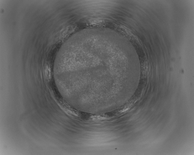 X0000074040703200609111739