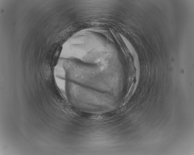 X0000074040704200609111739