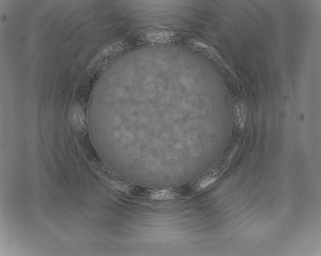 X0000074040705200609111739