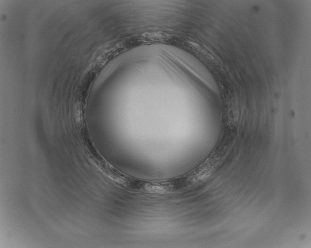 X0000074040706200609111739