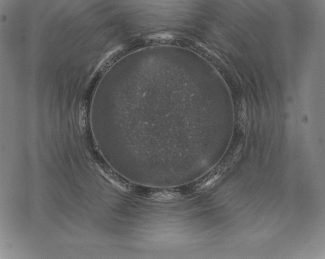 X0000074040708200609111739