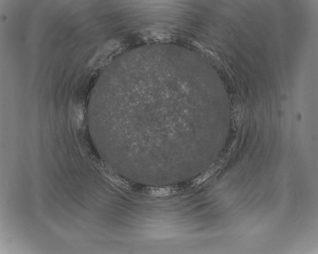 X0000074040709200609111739