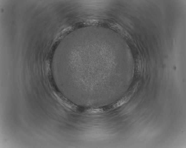 X0000074040711200609111739