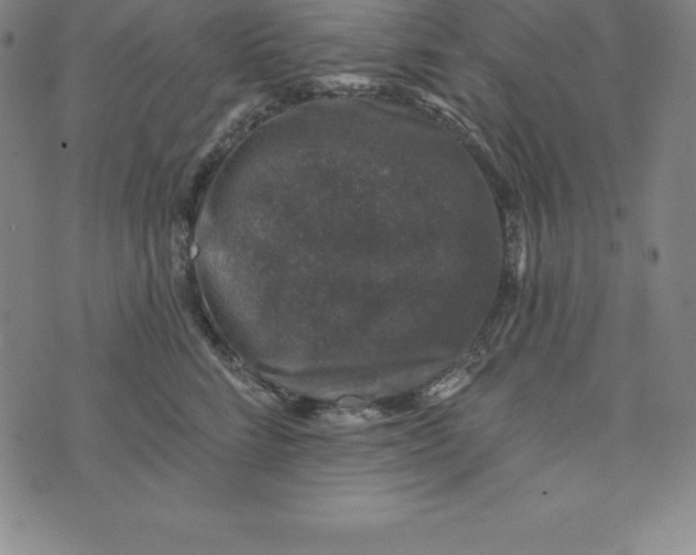 X0000074040712200609111739