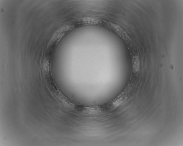 X0000074040713200609111739