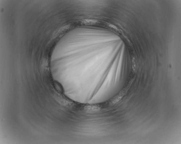 X0000074040714200609111739