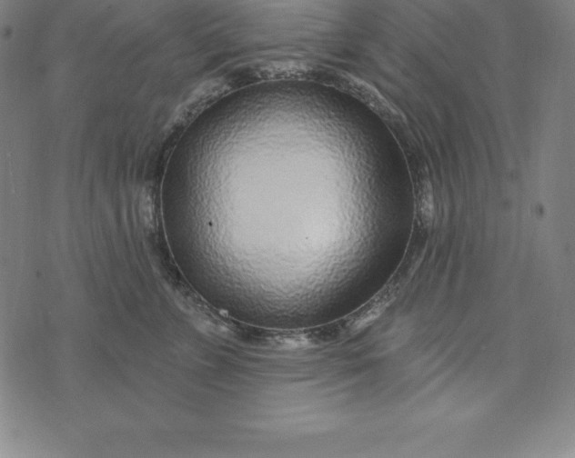 X0000074040715200609111739