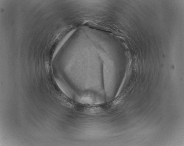 X0000074040716200609111739