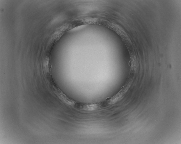 X0000074040717200609111739