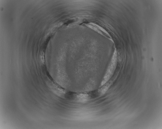 X0000074040718200609111739