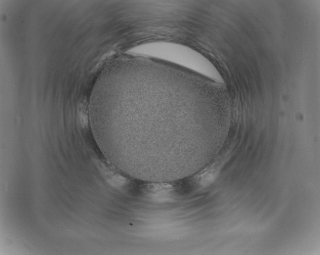 X0000074040719200609111739