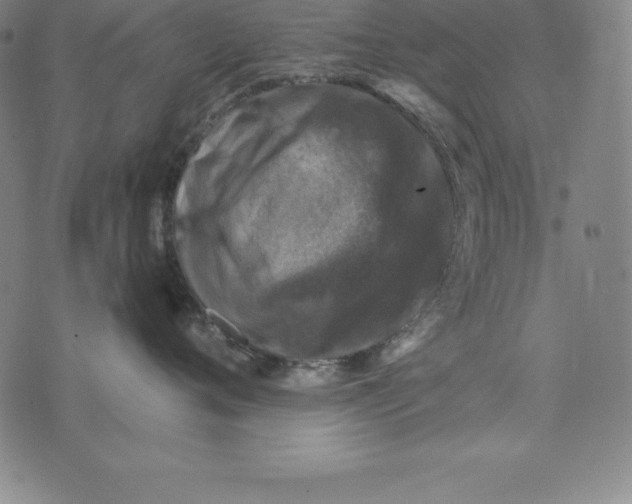 X0000074040720200609111739