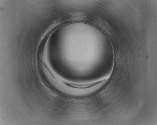 X0000074040722200609111738