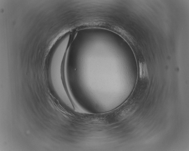 X0000074040723200609111738