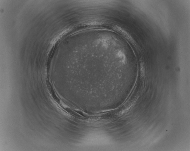 X0000074040725200609111738