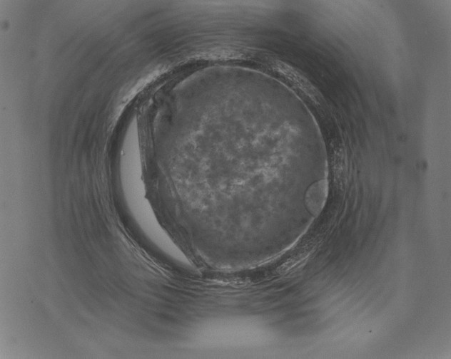 X0000074040727200609111738