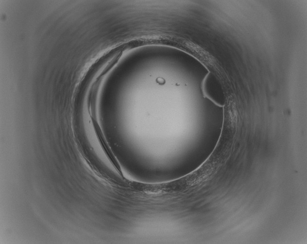 X0000074040728200609111738