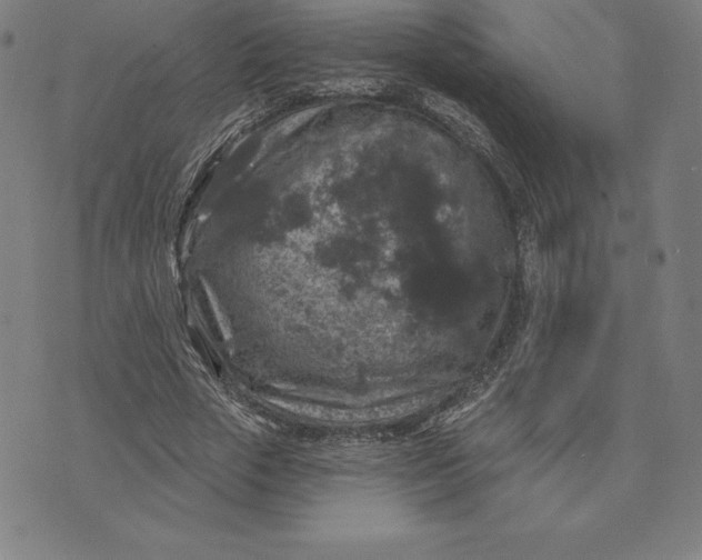 X0000074040729200609111738