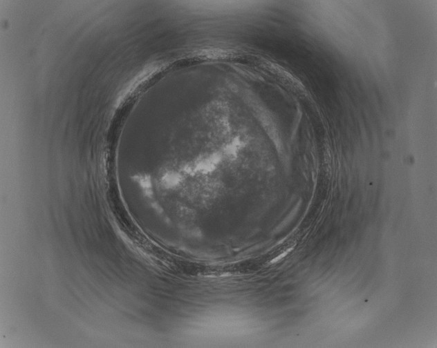 X0000074040730200609111738