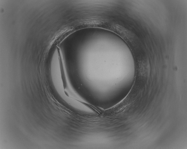 X0000074040731200609111738