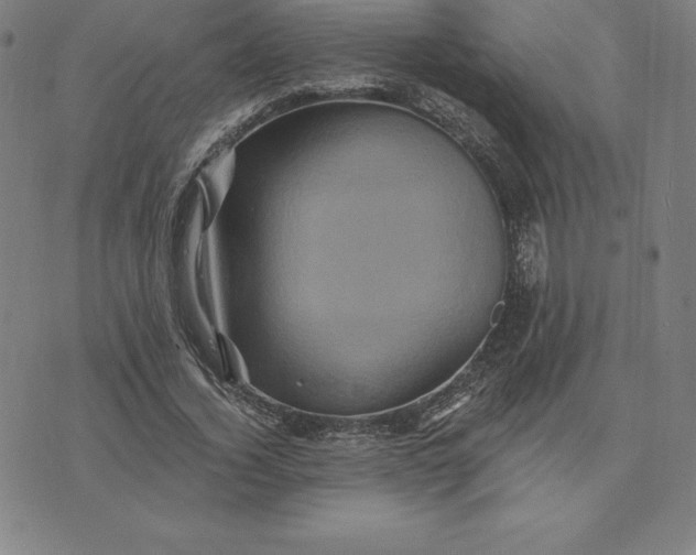 X0000074040732200609111738