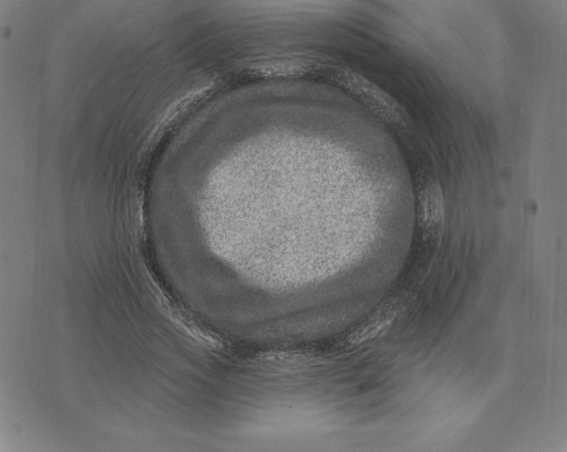 X0000074040733200609111738