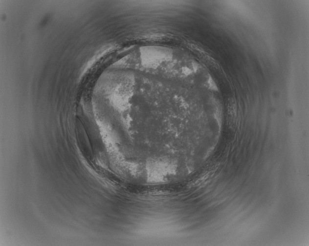 X0000074040734200609111738