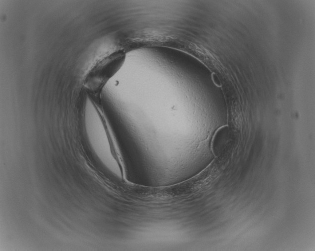 X0000074040735200609111738