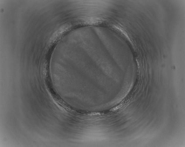 X0000074040736200609111738