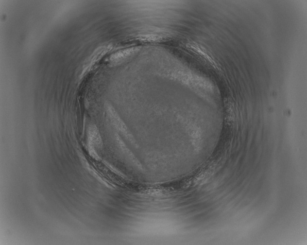 X0000074040738200609111738