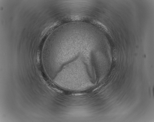 X0000074040740200609111738