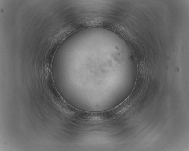 X0000074040741200609111738