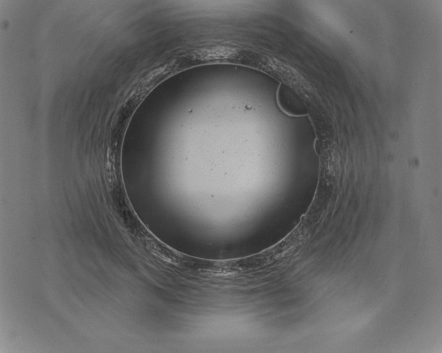 X0000074040743200609111738