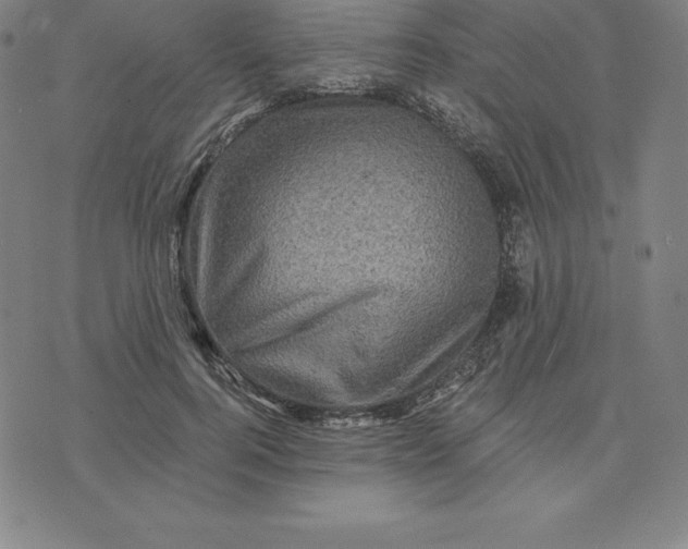 X0000074040744200609111738