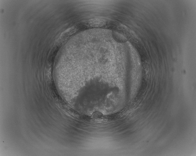 X0000074040745200609111738