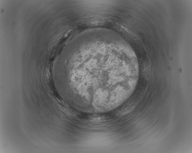 X0000074040746200609111738