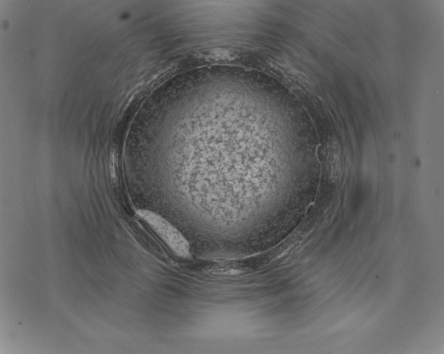 X0000074040747200609111739