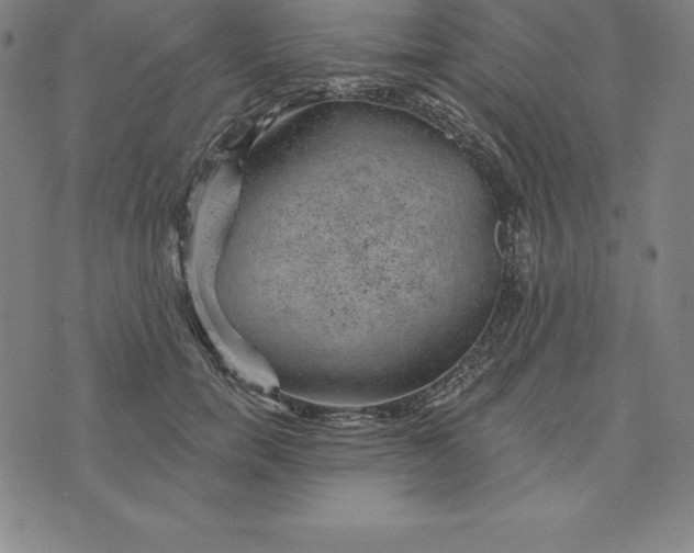 X0000074040750200609111739