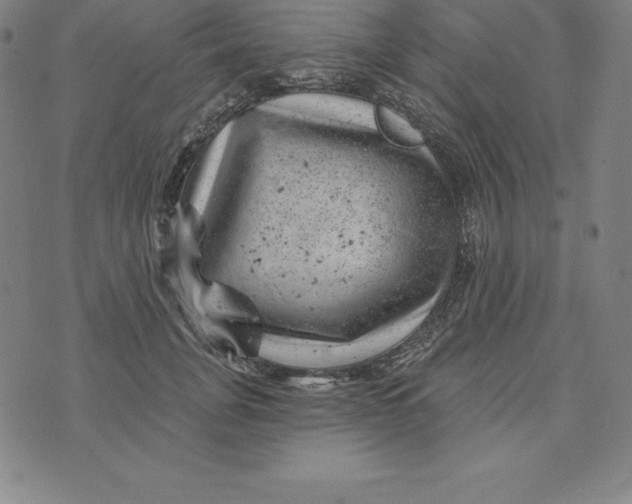 X0000074040751200609111739