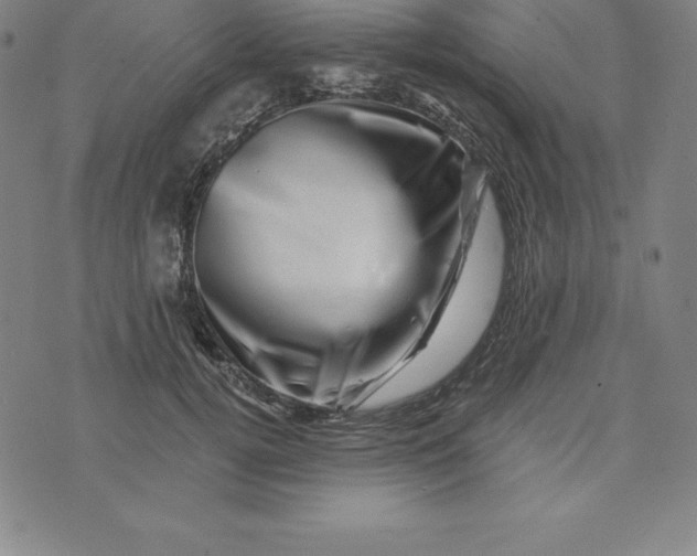 X0000074040752200609111739