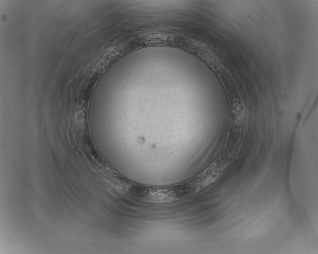 X0000074040753200609111739