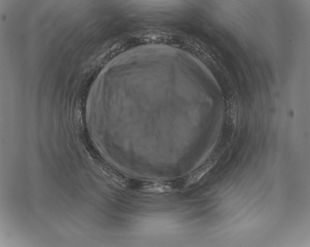 X0000074040754200609111739